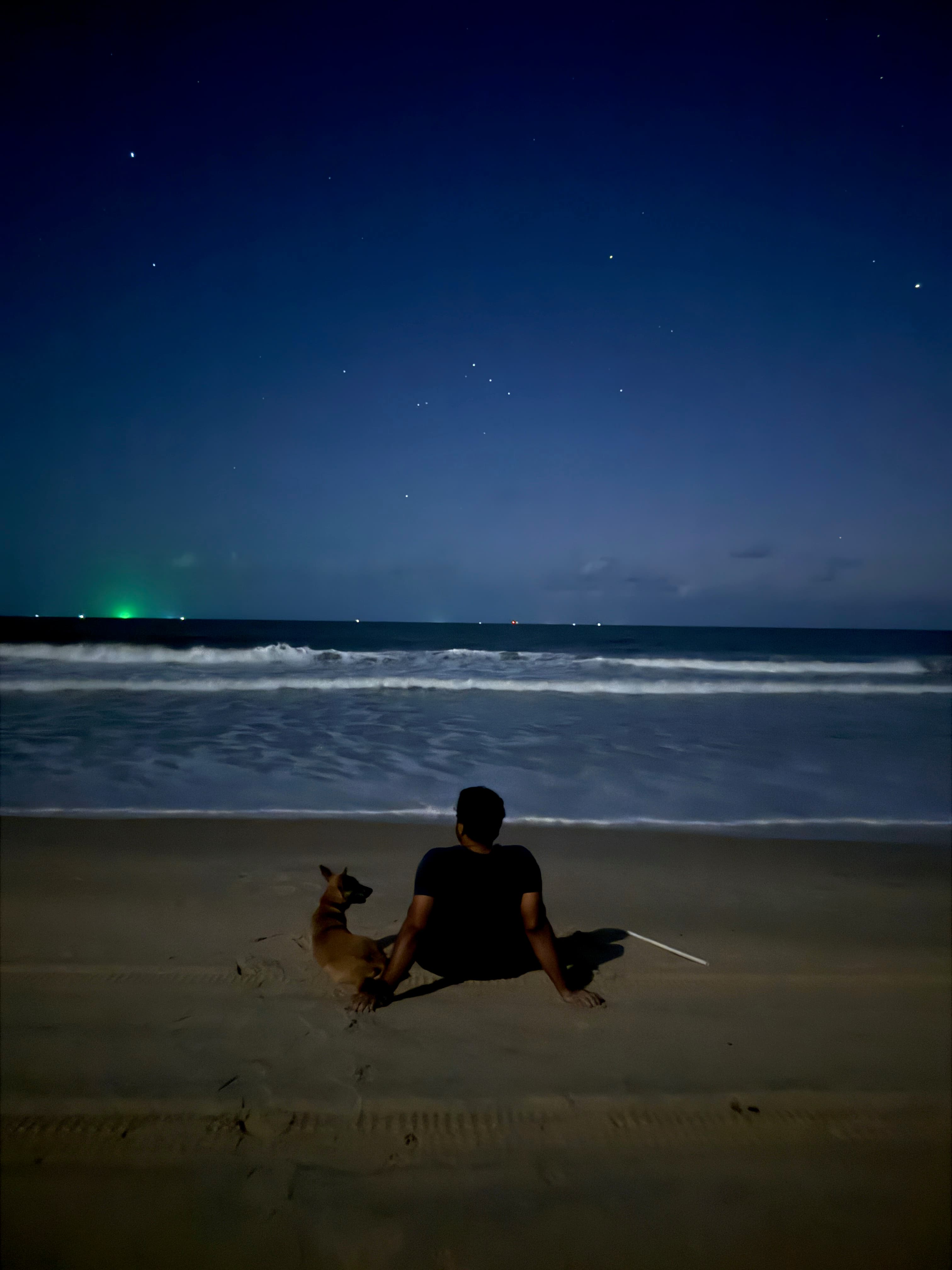 Garvit and a dog sitting on the beach at night under a starry sky