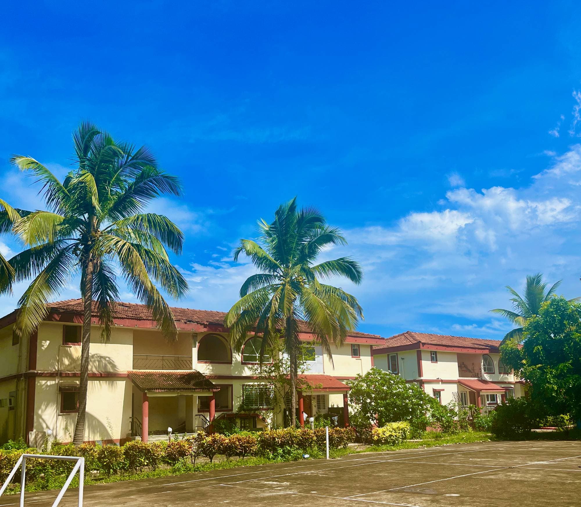 The villa's exterior on a sunny day, two palm trees out front